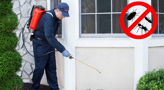 Tavas Akrep İlaçlama böcek ilaçlama ve haşere kontrolü — ilaclama-tr.com